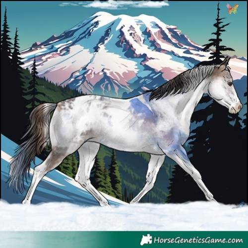 Horse Color:White Spotted Liver Red Onyx Ice Tobiano Appaloosa 