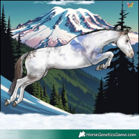 Horse Color:White Spotted Liver Red Onyx Ice Tobiano Blanket 