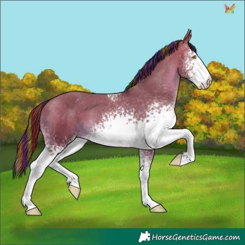 Horse Color:Painted White Spotted Amber Champagne Tobiano Appaloosa