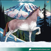 Horse Color:Painted White Spotted Amber Champagne Tobiano Varnish