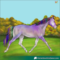 Horse Color:Painted Watercolor Sable Champagne Onyx 
