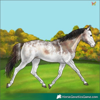 Horse Color:Plaid  White Spotted Brown Ice Onyx 