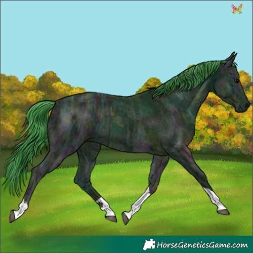 Horse Color:Watercolor Midnight Black Ice Tobiano 