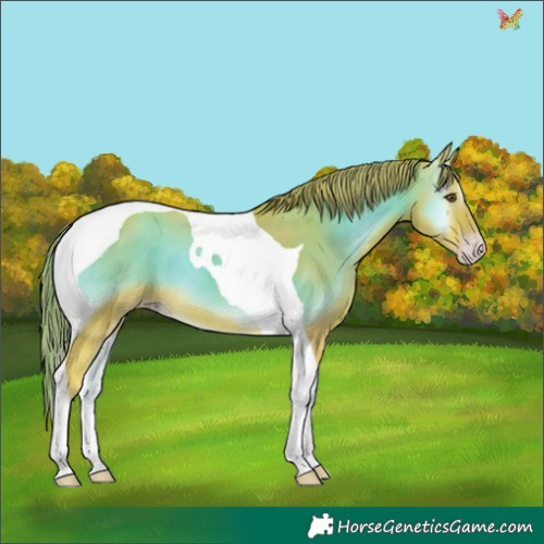 Horse Color:Watercolor Gold Champagne Onyx Tobiano 