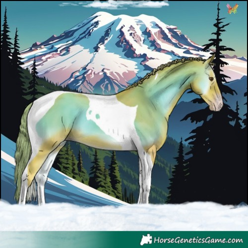 Horse Color:Watercolor Gold Champagne Onyx Tobiano
