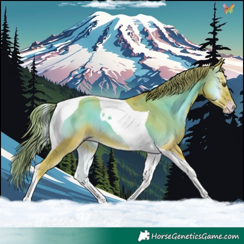 Horse Color:Watercolor Gold Champagne Onyx Tobiano 