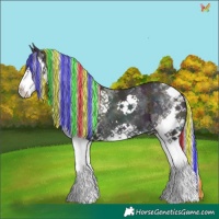Horse Color:Painted Watercolor Midnight Gold Champagne Ice Pearl Splash Tobiano