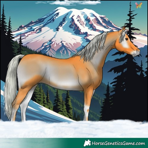 Horse Color:Watercolor Chocolate Palomino Onyx Tobiano 