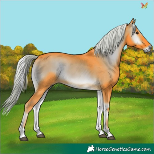 Horse Color:Watercolor Chocolate Palomino Onyx Tobiano 