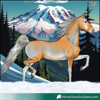 Horse Color:Watercolor Chocolate Palomino Onyx Tobiano