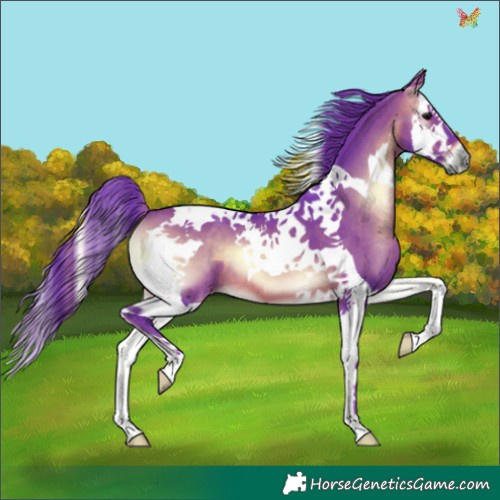 Horse Color:Watercolor Brown Onyx Splash Tobiano 