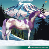 Horse Color:Watercolor Brown Onyx Splash Tobiano 