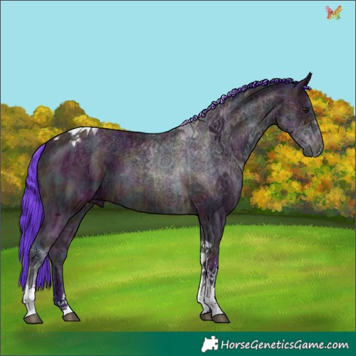 Horse Color:Watercolor Midnight Bay Ice Tobiano 
