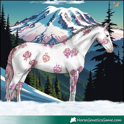 Horse Color:Watercolor White Spotted Chestnut Splash 