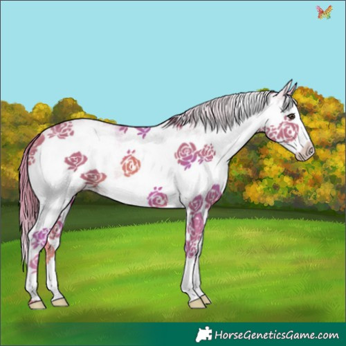 Horse Color:Watercolor White Spotted Chestnut Splash 