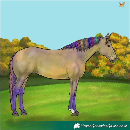 Horse Color:Painted Watercolor Bay 