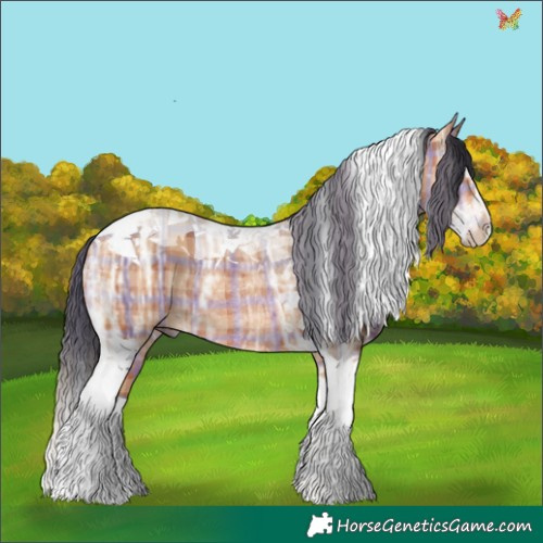Horse Color:Plaid  Bay Ice Splash Tobiano 