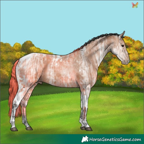 Horse Color:Bay Ice Tobiano 