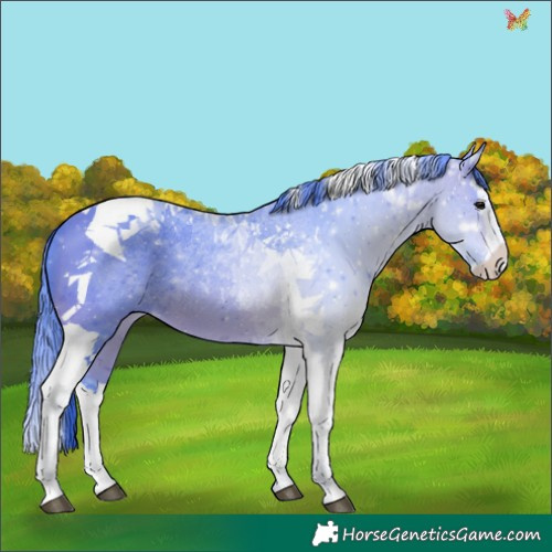 Horse Color:Watercolor Brown Splash Tobiano 