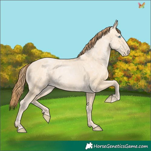 Horse Color:Buckskin Ice Pearl 
