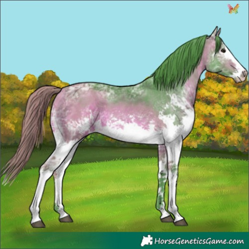 Horse Color:Watercolor White Spotted Bay Ice Splash 