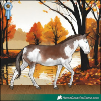 Horse Color:Liver Chestnut Splash 