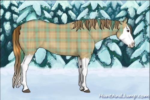 Horse Color:Plaid  Red Dun Splash 