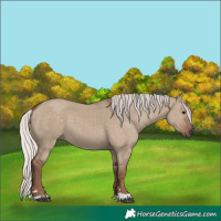 Horse Color:Silver Grullo 