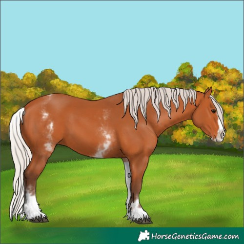 Horse Color:Unknown 
