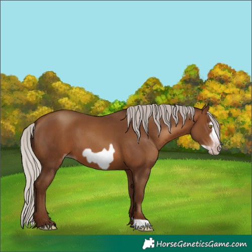 Horse Color:Gray Silver Sable Champagne Frame 
