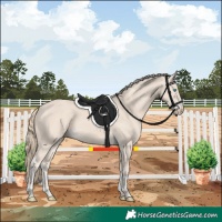 Horse Color:Smoky Creme 