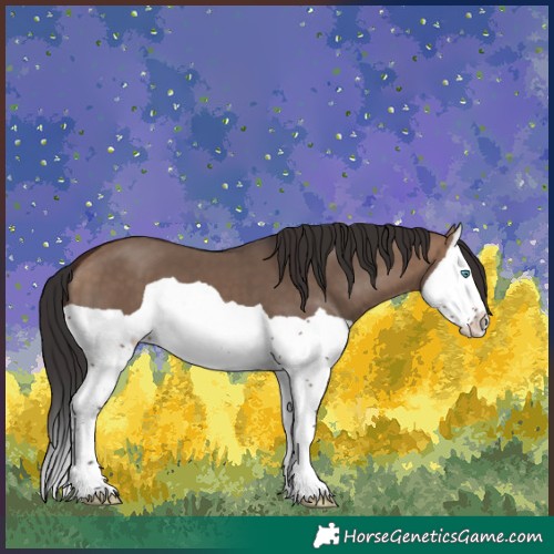 Horse Color:Brown Dun Splash 