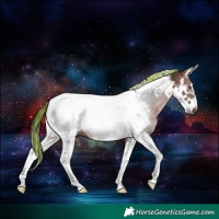 Horse Color:Painted Bay Splash Tobiano Frame 
