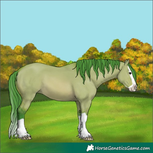 Horse Color:Watercolor Bay Dun Splash