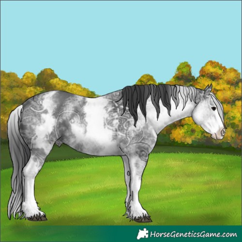 Horse Color:White Spotted Black Ice Splash 