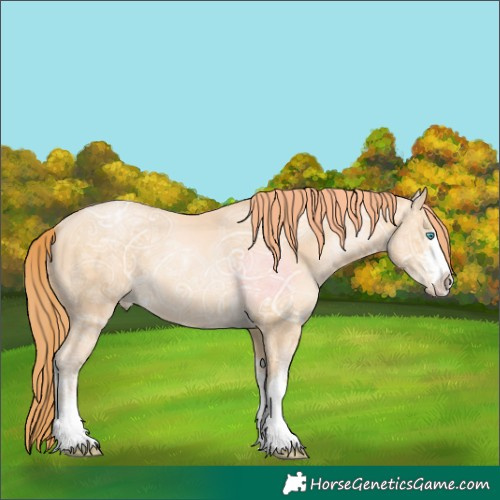 Horse Color:Buckskin Ice Pearl
