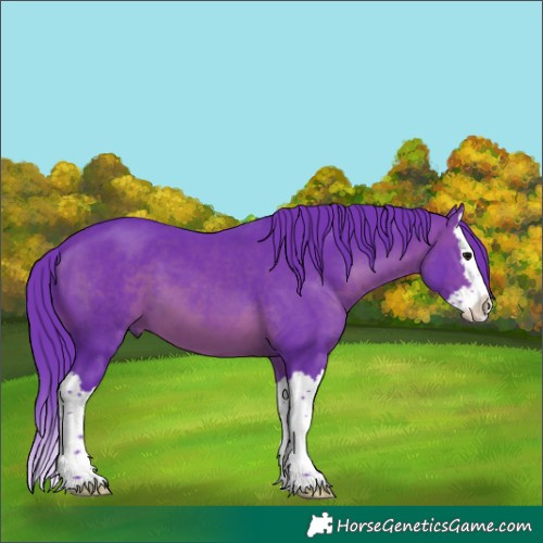 Horse Color:Watercolor Brown Splash 