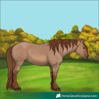 Horse Color:Red Dun 