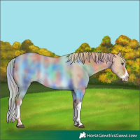 Horse Color:Nacre White Spotted Red Dun Splash 