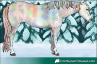 Horse Color:Nacre Plaid Chocolate Palomino Onyx Sabino