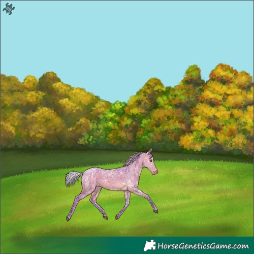 Horse Color:Watercolor Silver Brown Ice Dun 