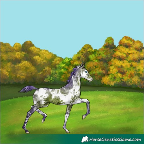 Horse Color:Watercolor Bay Ice Splash Tobiano 