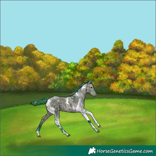 Horse Color:Watercolor Bay Ice Dun Tobiano 