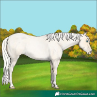 Horse Color:Silver Buckskin Roan Pearl 