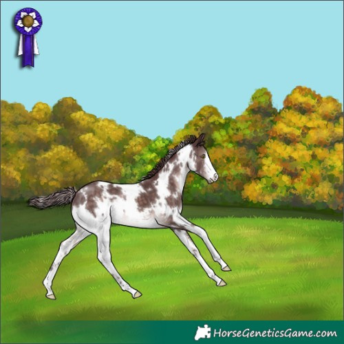 Horse Color:Platinum White Spotted Chocolate Brown 