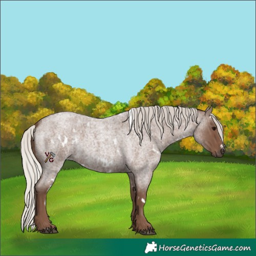 Horse Color:White Spotted Silver Blue Roan 