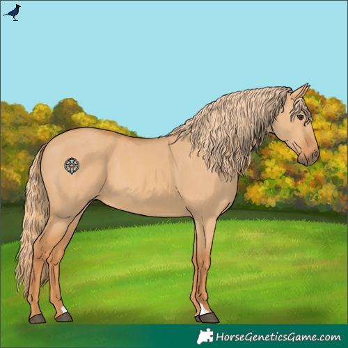 Horse Color:Red Dun 