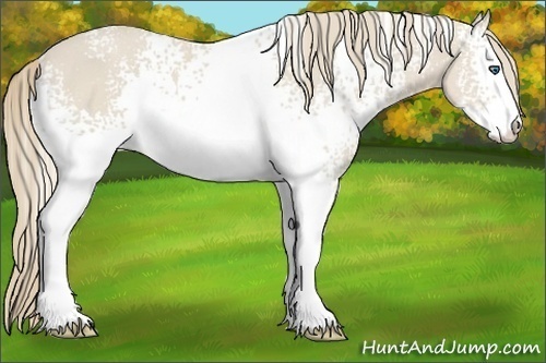 Horse Color:White Spotted Smoky Creme Sabino