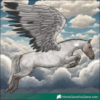 Horse Color:White Spotted Silver Blue Roan