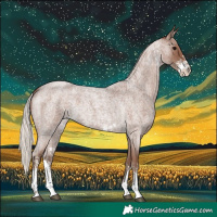 Horse Color:Silver Blue Roan Sabino 
